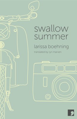 swallow-summer